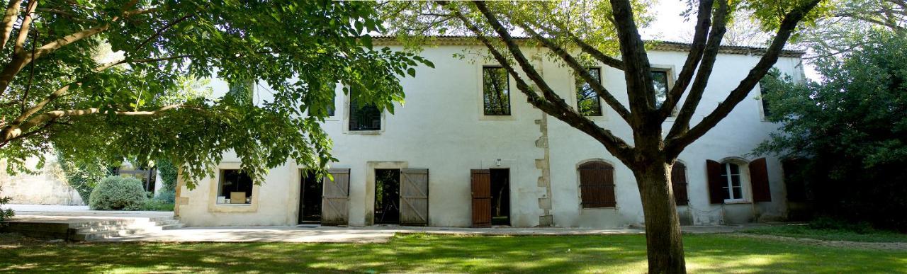 ホテルDomaine Du Prieure D'Estagel サン・ジル・クロワ・ド・ヴィ エクステリア 写真